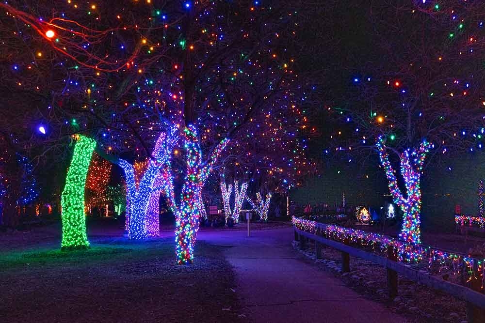 Trail of Lights | Denver Botanic Gardens