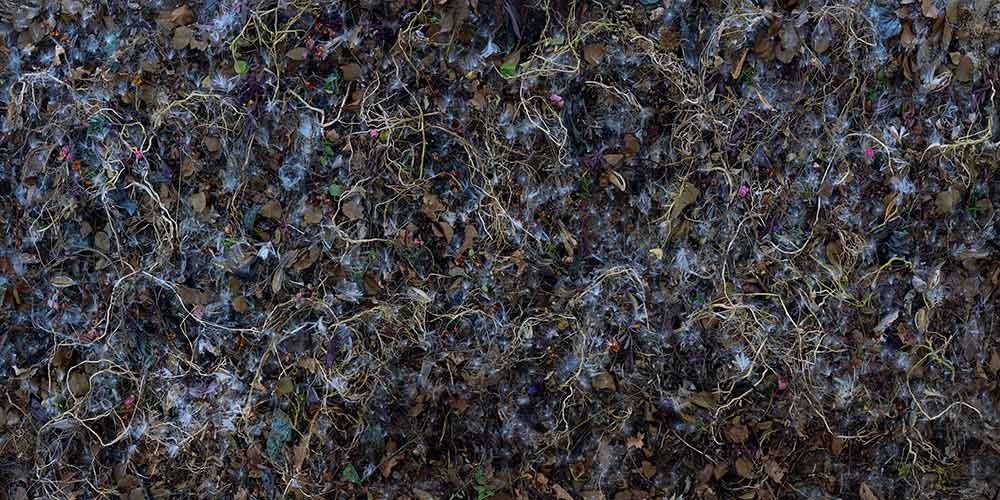 Tanya Marcuse, "Woven No. 11," pigment print, 2016.