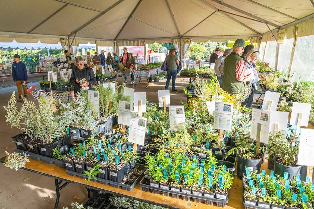 Fall Plant & Bulb Sale | Denver Botanic Gardens