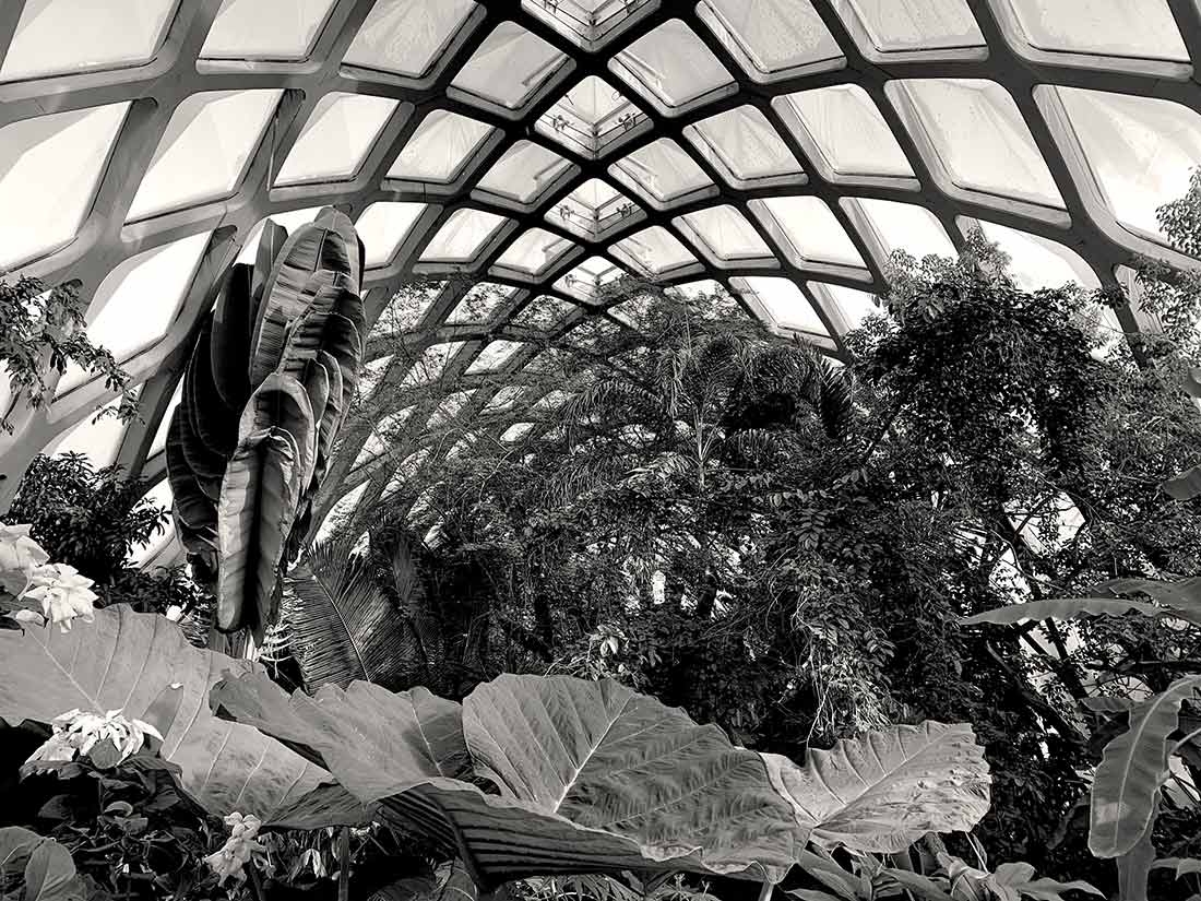 Inside The Boettcher Memorial Tropical Conservatory