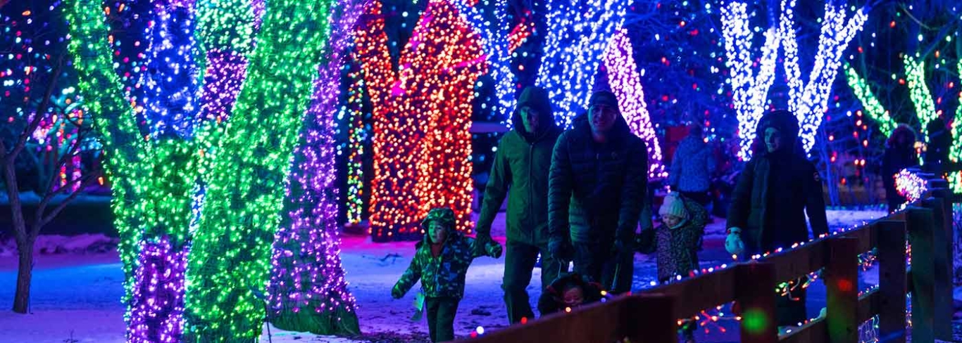 Christmas light shows: 19 top illuminated trails 2023 - Gardens Illustrated