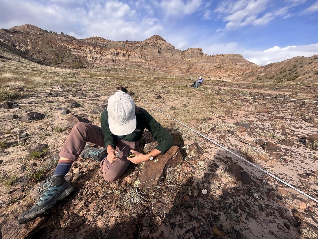 Scientist collecting data on Colorado's Western Slope