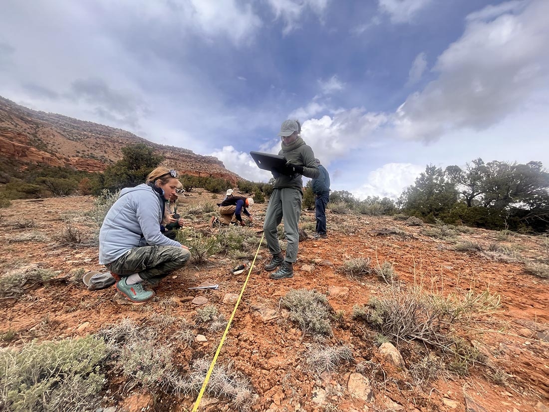 Monitoring Sclerocactus glaucus