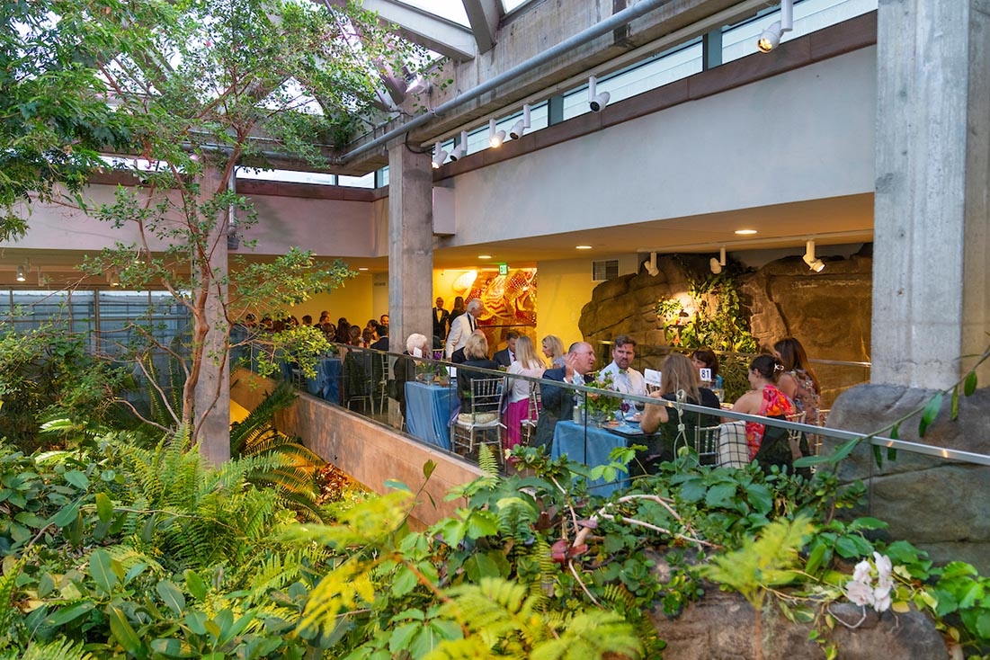 Formal dinner in Marnie's Pavilion