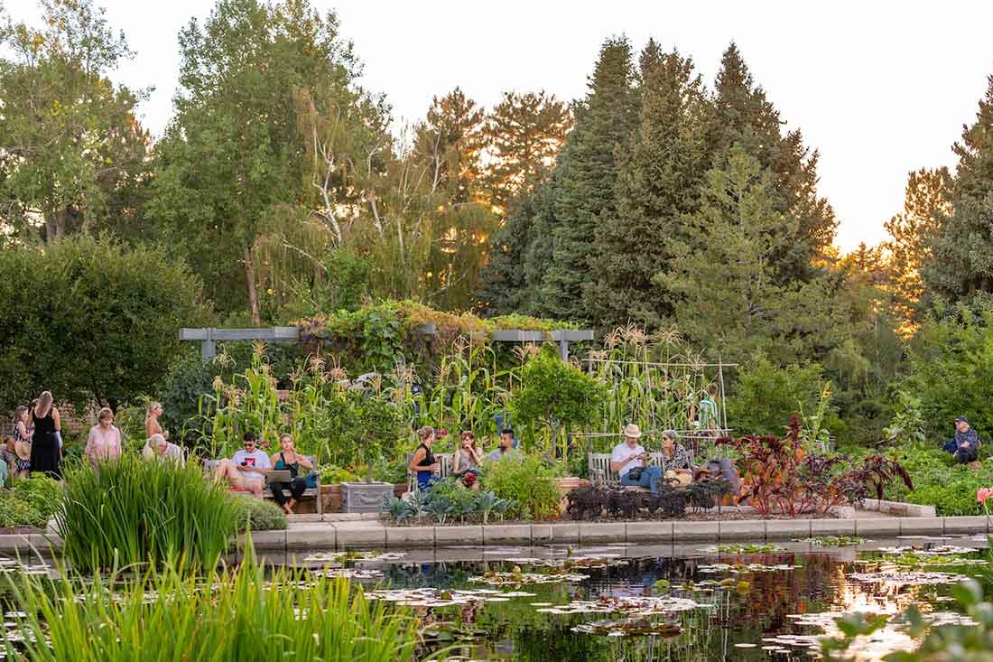 People sitting outside and looking over the Monet Pool during Evenings al Fresco
