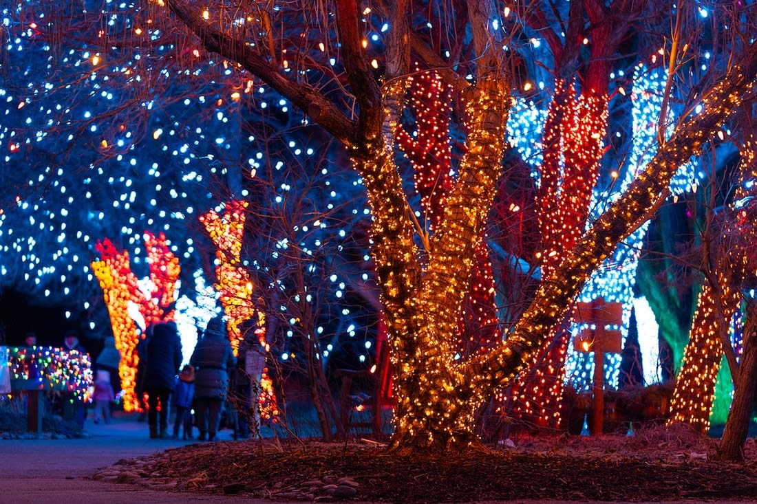 Gold and blue Christmas lights