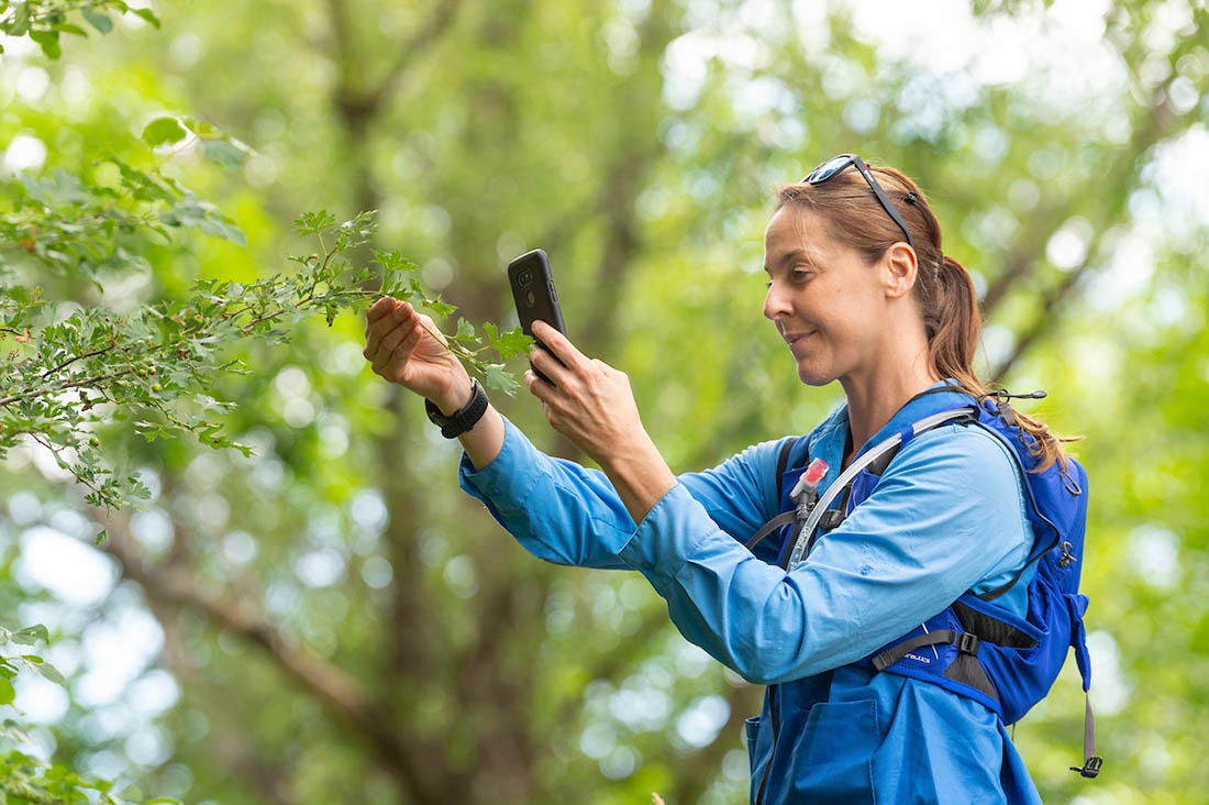 woman with phone taking photo of leaf