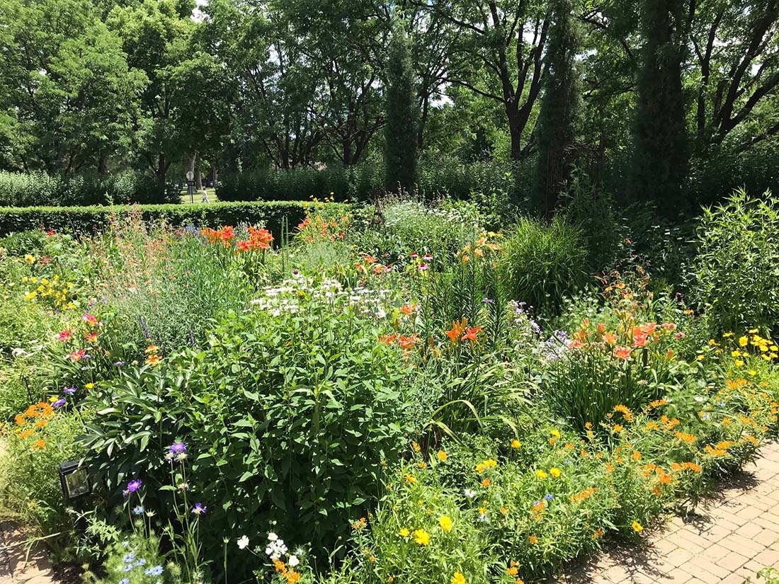 summer flower garden