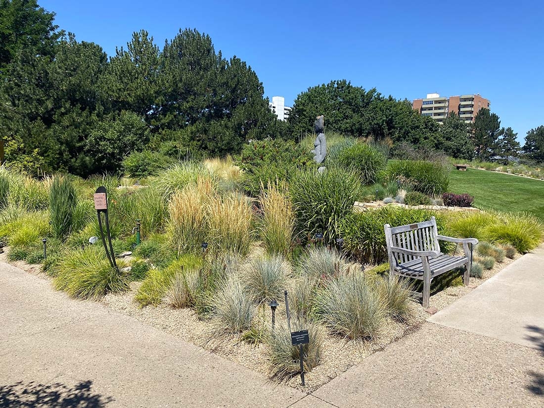 Ornamental Grasses Garden