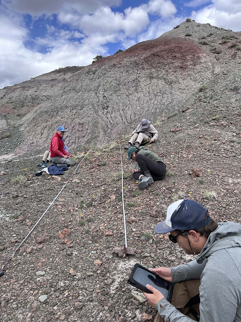 Three researchers on a rocky slope measuring space between plants