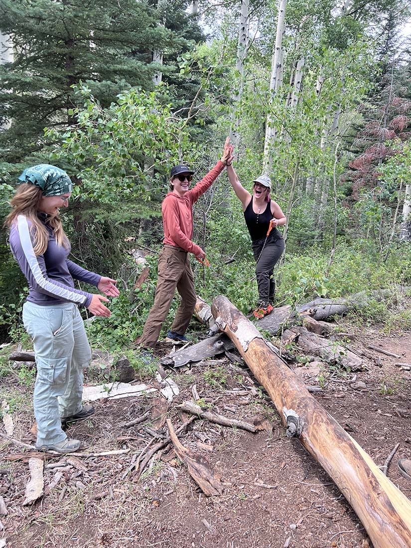 Two people high-five over fallen tree
