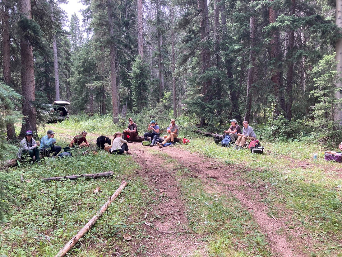 Group of people sitting in distance among trees, along a trail