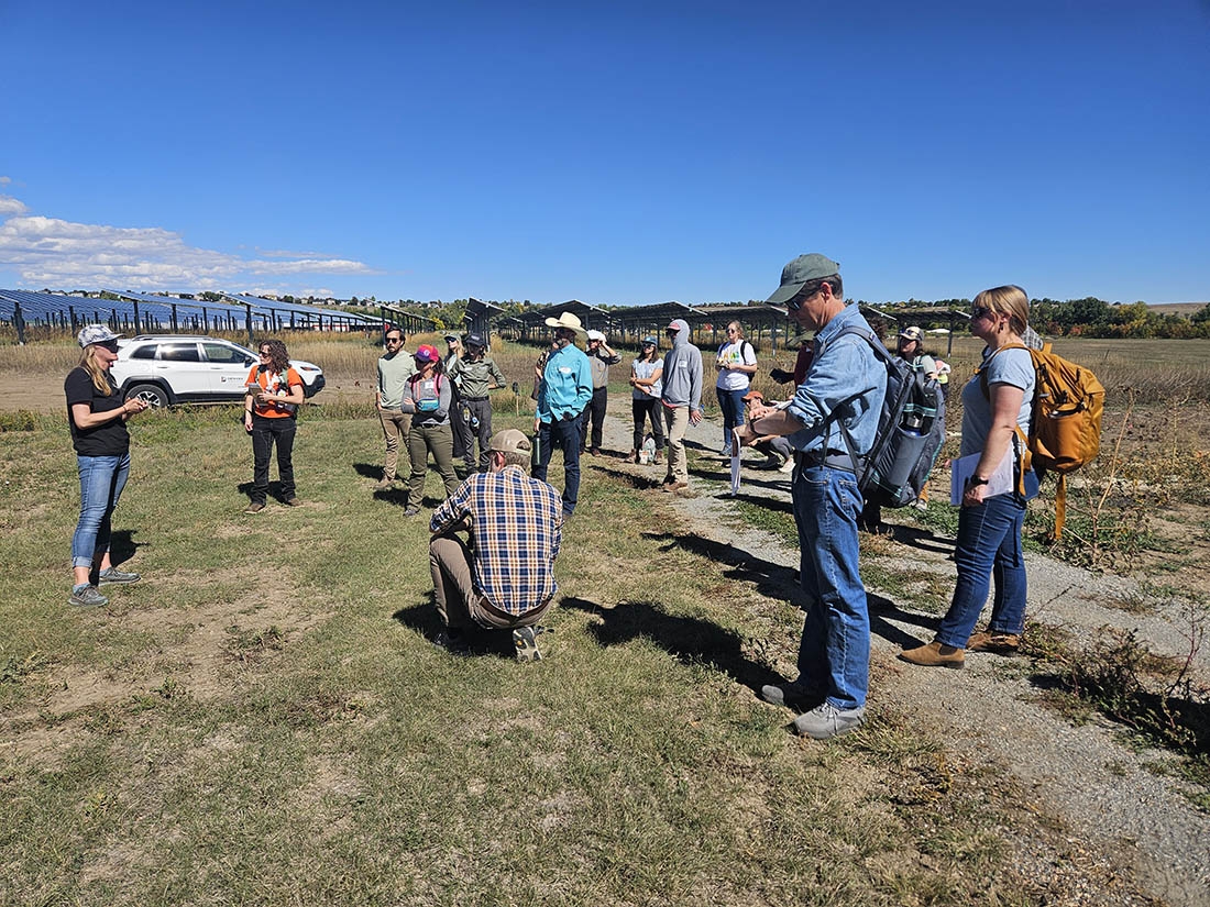 group of people standing in field with blue sky