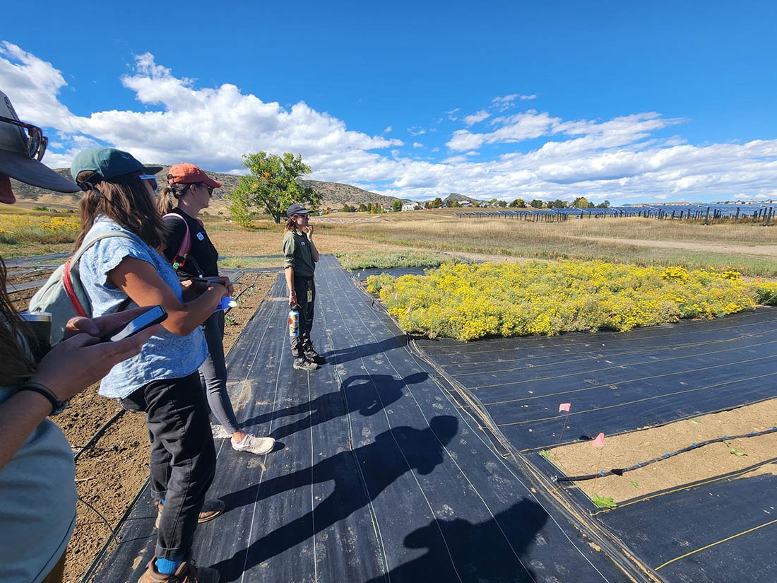 people standing on plastic ground cover strip observing garden