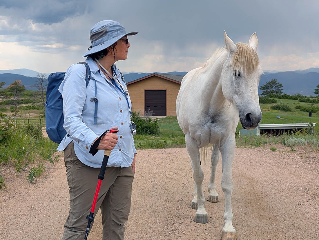 Woman turns to look back at a white horse following her