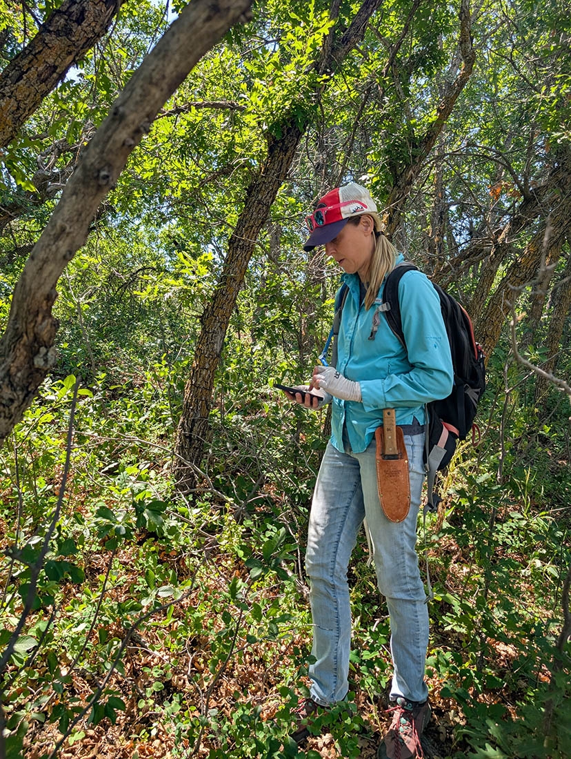 A woman stands among trees making notes in a field journal