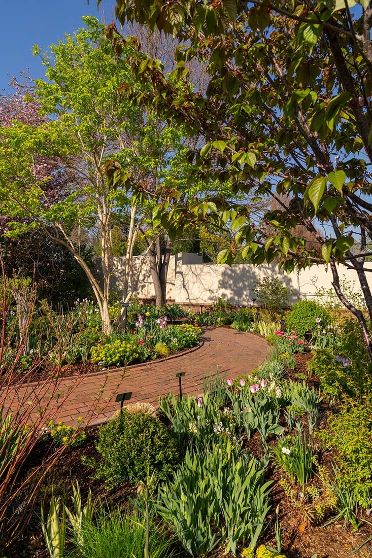 Brick path curving through spring trees