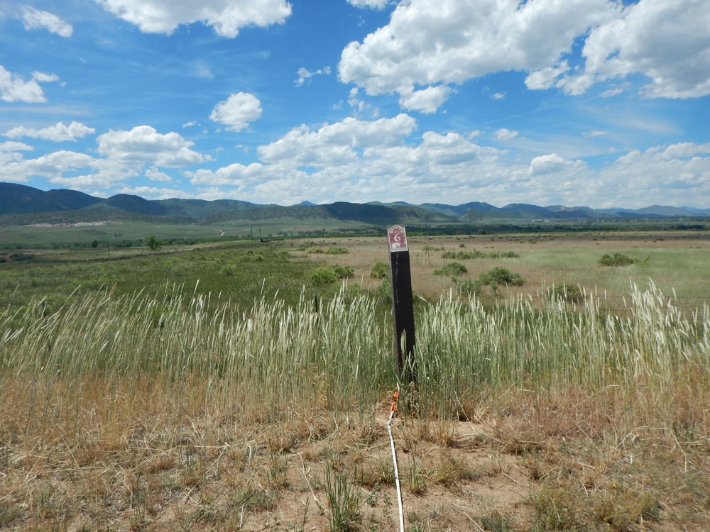 Open grassland along canal at mile 6 trail marker.