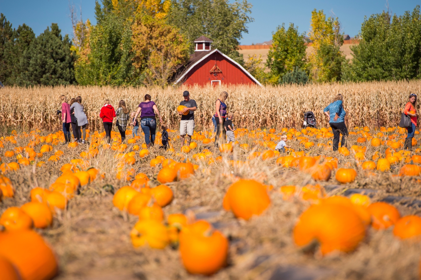 new-hampshire-pumpkin-festival-laconia-nh-hobo-railroad