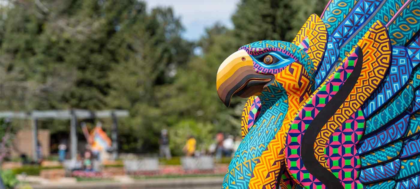 Art & Exhibitions | Denver Botanic Gardens