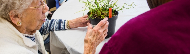 Elderly lady and plant