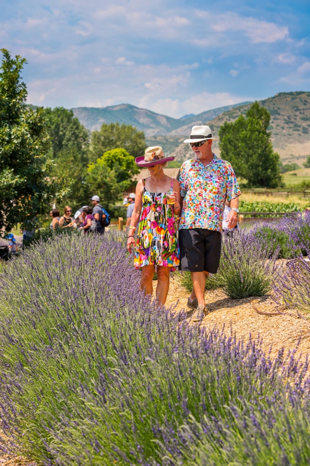 Lavender Festival Denver Botanic Gardens