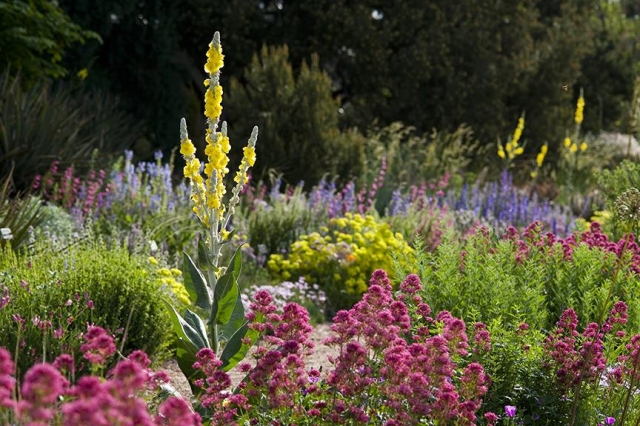 York Street Gardens | Denver Botanic Gardens