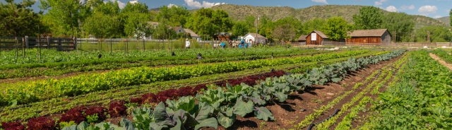 Chatfield Farms CSA Program