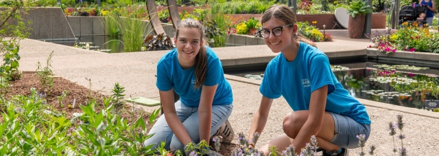 Teen volunteers banner