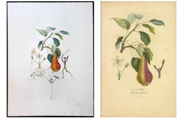 Botanical Fruit Collection Print