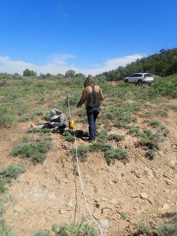 students doing field work
