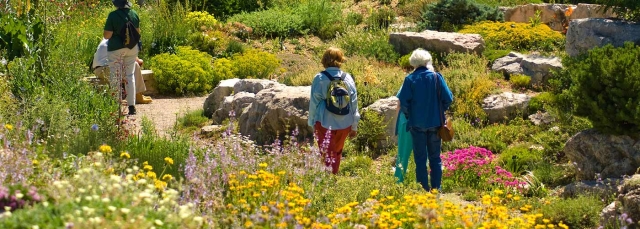 Free Day in the Rock Alpine Garden in the spring