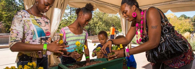 One adult and four children planting some flowers