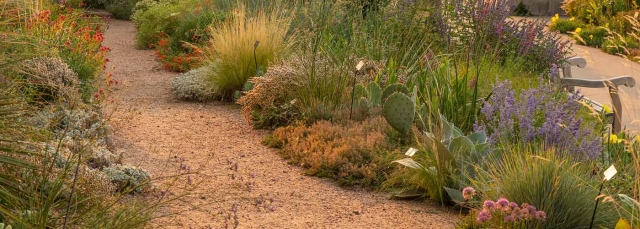 Water-Smart Garden