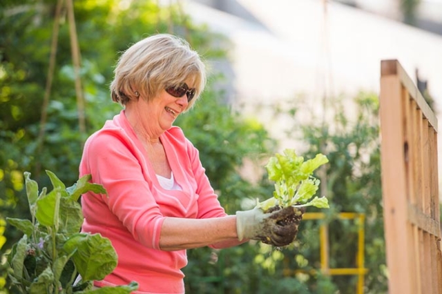 Herb Gardening For Beginners