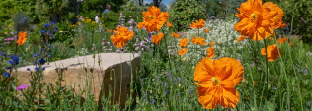 Plant Select Garden at Denver Botanic Gardens