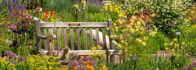 York Street Water-Smart Garden