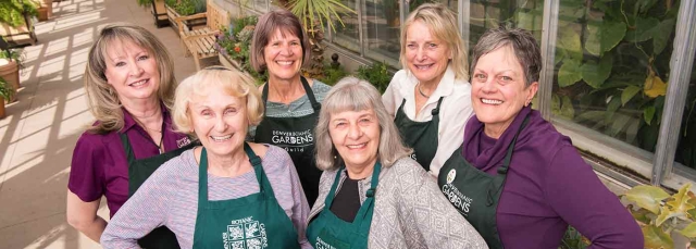 Guild members in the Orangery