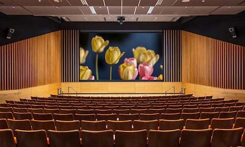 Empty movie theater with a screen displaying tulips