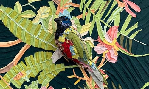 Tamara Kostianovsky bird thumbnail