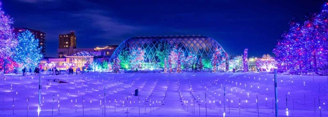 Holiday light show with colored lights on trees, the conservatory is aglow as well as a field of light sticks in the snow.