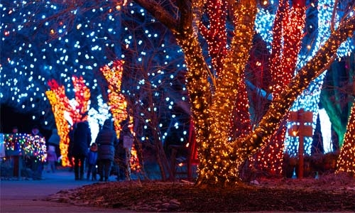 Trail of Lights thumbnail