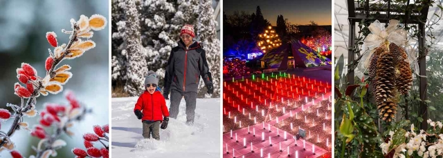 Winter events at Denver Botanic Gardens