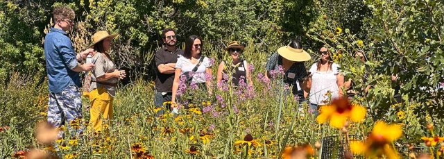 People standing in a field of flowers