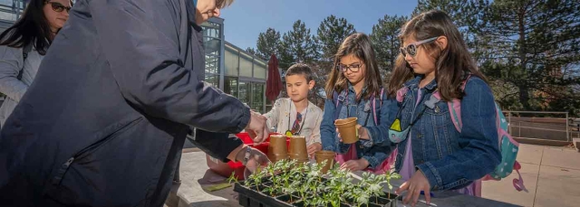 Children watching a potting demonstration on a table outside