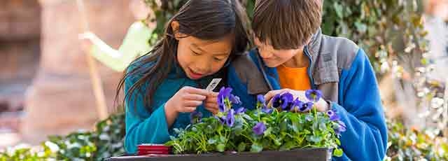 Two children looking down at some plants