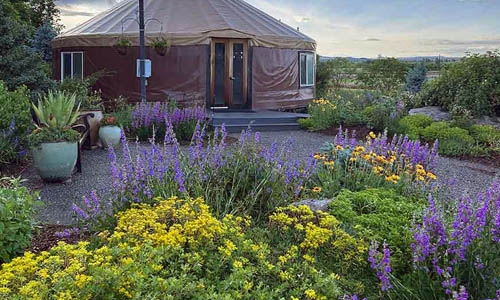 Yurt with water-smart garden in foreground