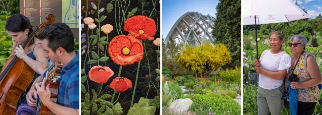 Two musicians outside, one playing a cello and the other playing a guitar; embroidery with red poppies; a tree with the conservatory in the background; two smiling women outside, one holding an umbrella and the other holding a blue sweater