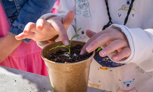 child's hands poking dirt into pot