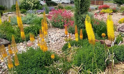 Grummons garden thumbnail